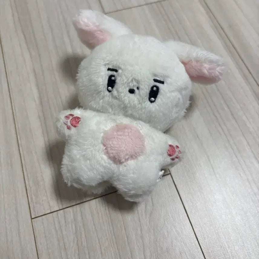 더보이즈 빵콩이 인형