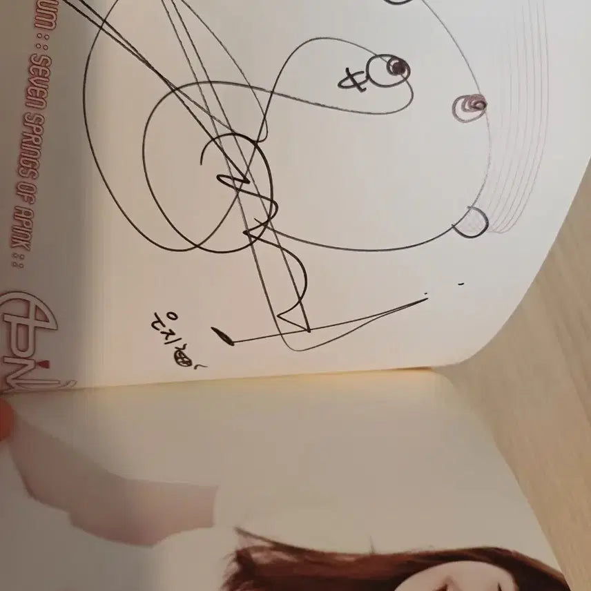 에이핑크 Apink 데뷔앨범 비매 싸인