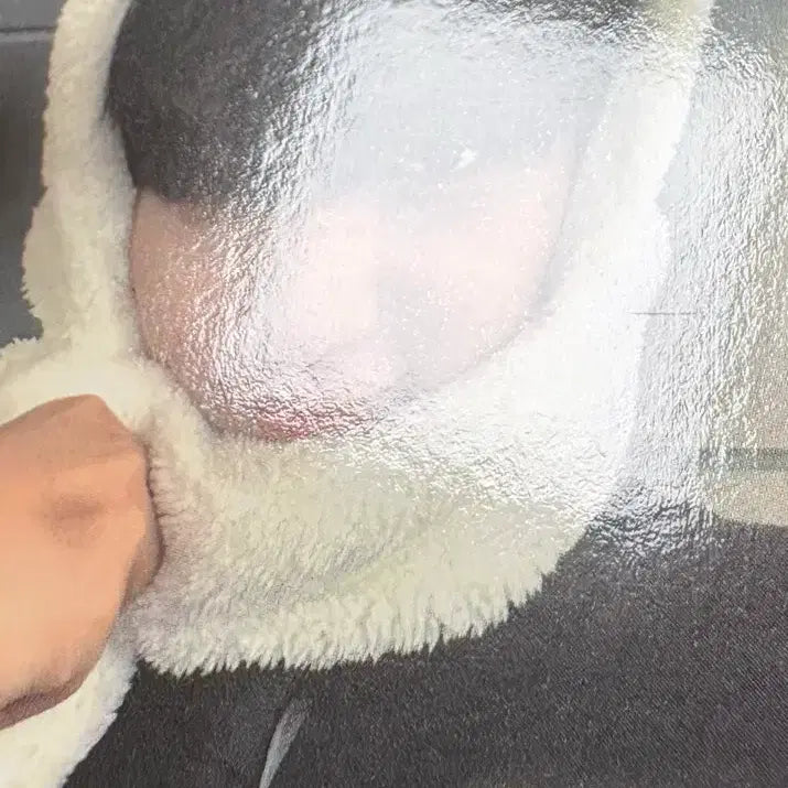 보이넥스트도어 카카오톡 특전 명재현