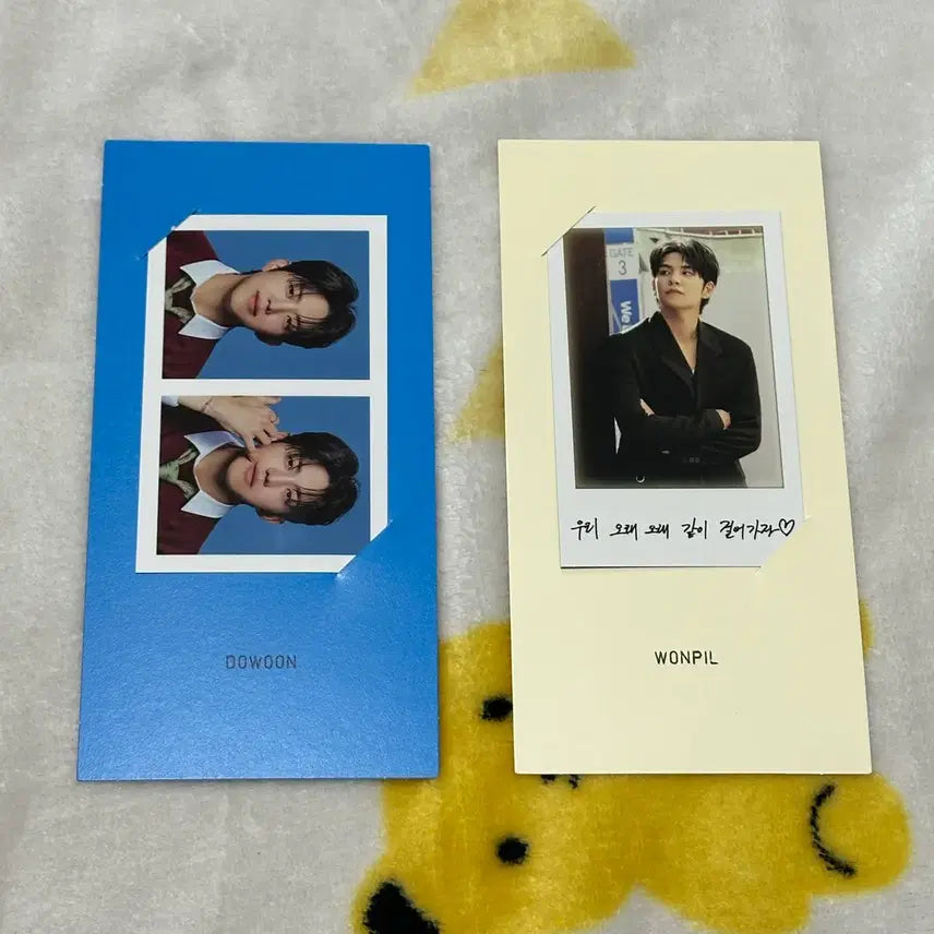 데이식스 탈덕 처분