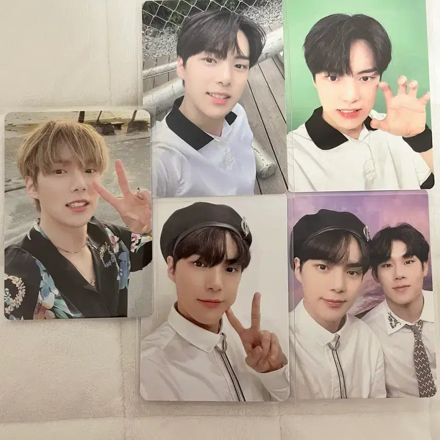 몬엑 민혁 시그포카 일괄