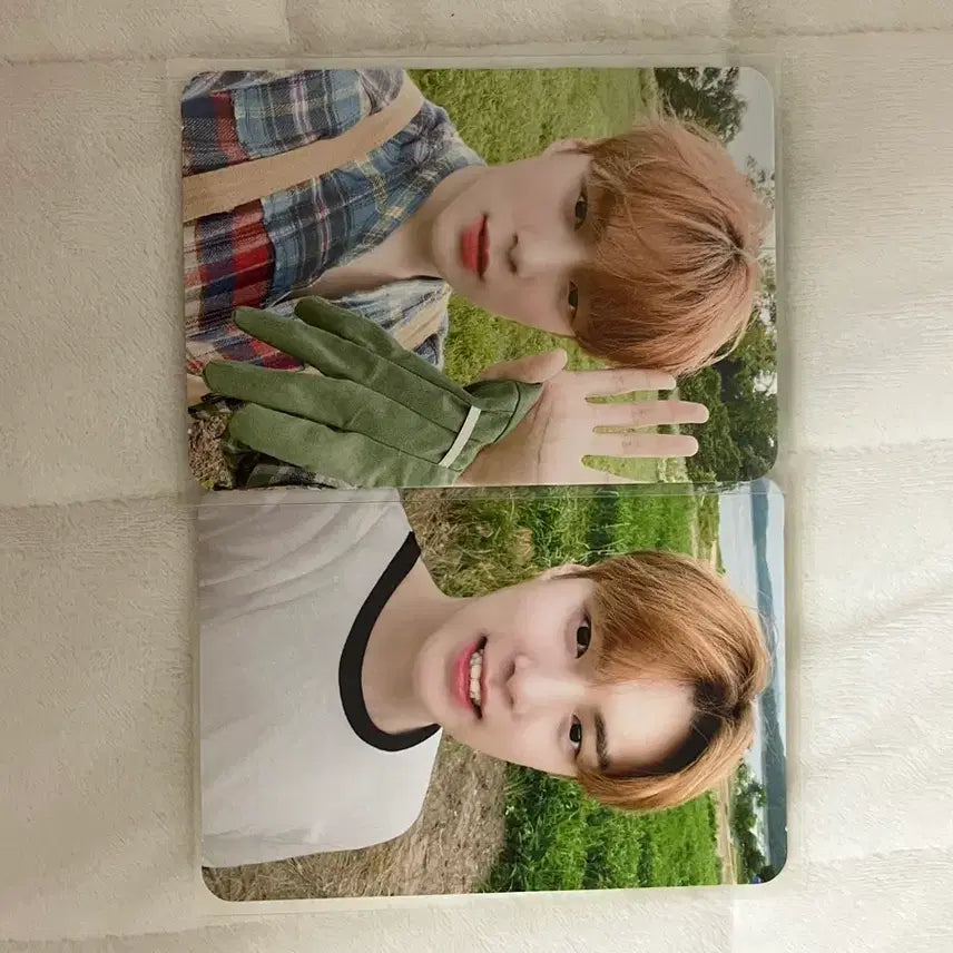 몬엑 민혁 시에스타 일괄