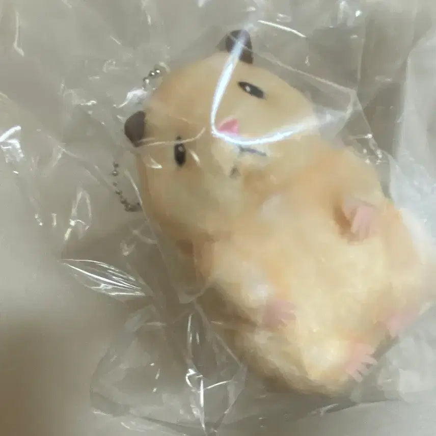 스케로쿠 뚱중햄 뚱쭝햄 뚱쭝이 제로베이스원 성한빈 햄스터 인형