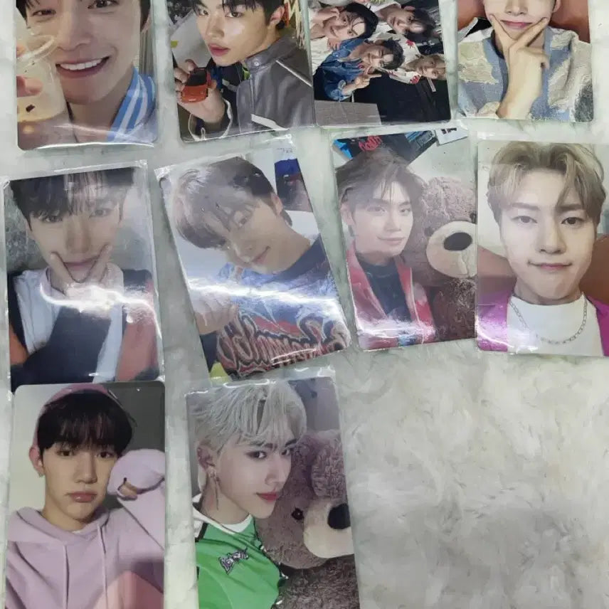 제로베이스원 포토카드 일괄판매