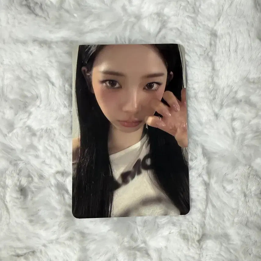 더티워크 에버라인 카리나 양도