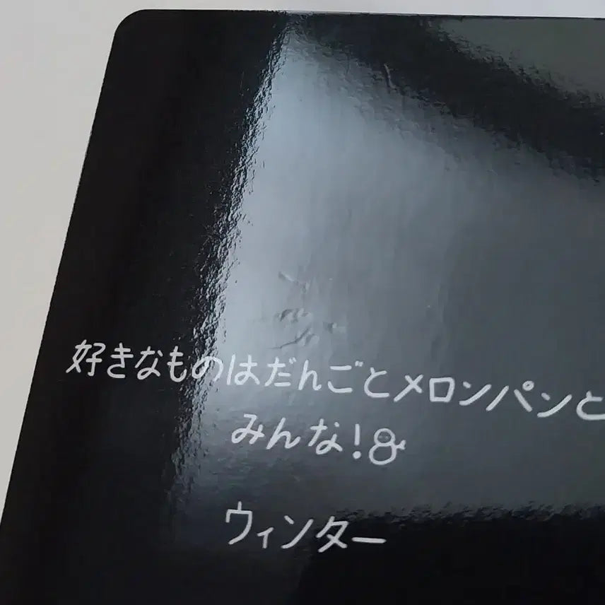 에스파 윈터 라이브 투어 일본 회장한정 6000엔 구입특전
