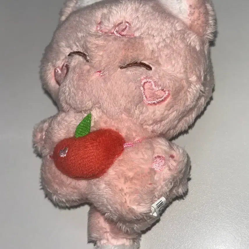 피치떤 엔하이픈 선우 인형