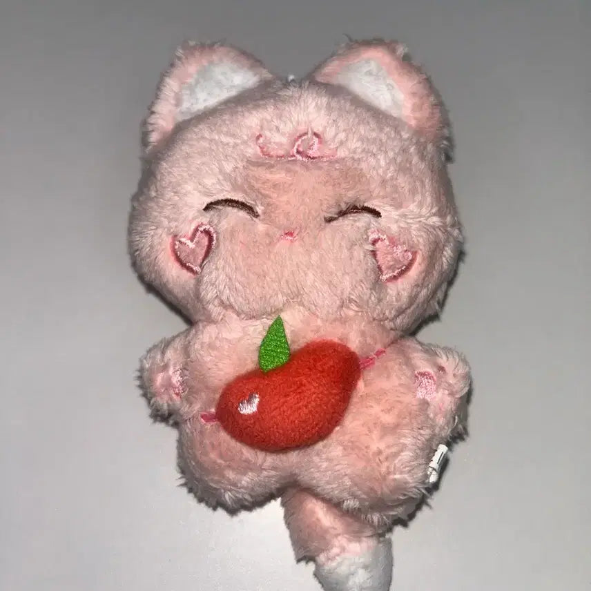 피치떤 엔하이픈 선우 인형