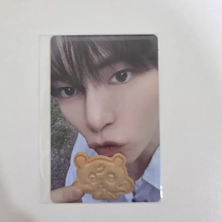 제베원 제로베이스원 성한빈 팝업 쿠키 특전 포카 양도해요