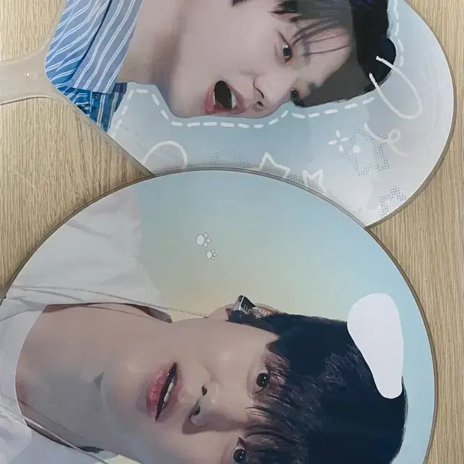 데이식스 탈덕 처분