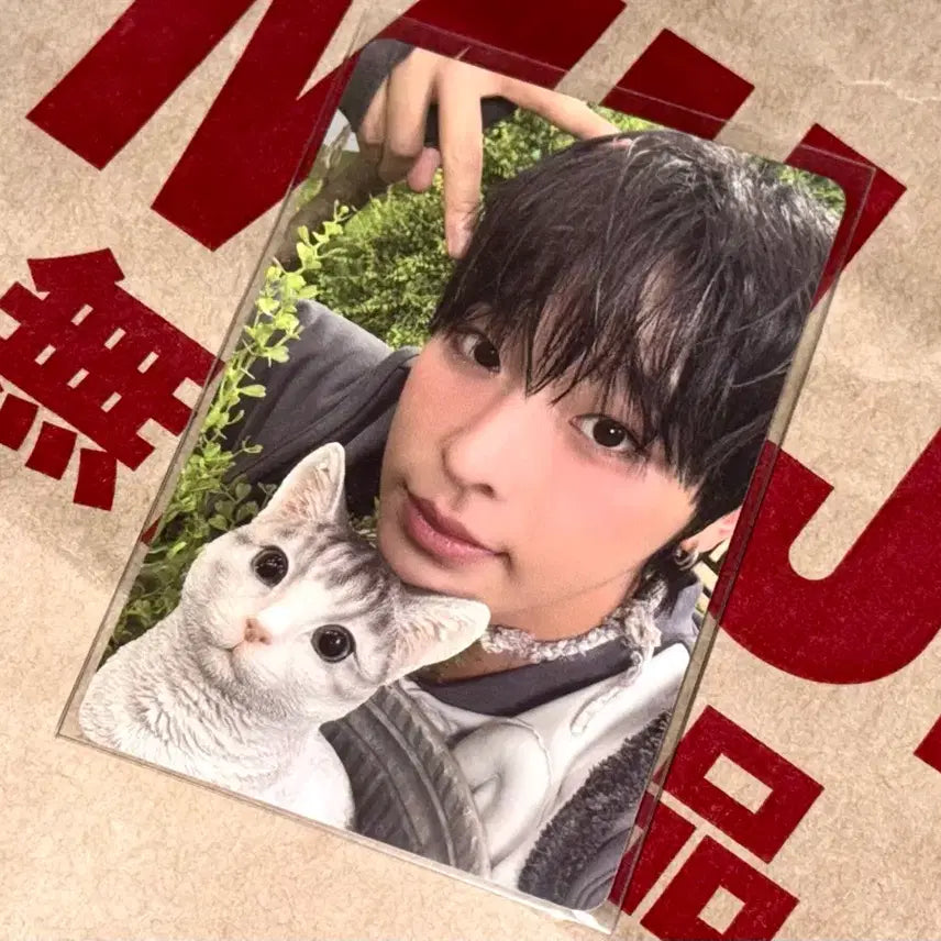 [BUNJANG] NCT WISH Riku Photocard / 엔시티 위시 컬러 리쿠 포카