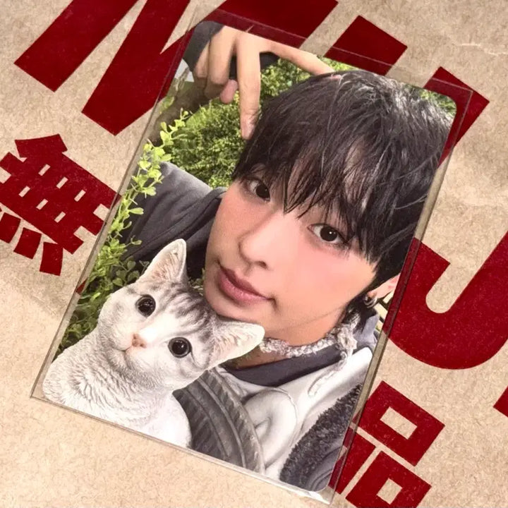 [BUNJANG] NCT WISH Riku Photocard / 엔시티 위시 컬러 리쿠 포카