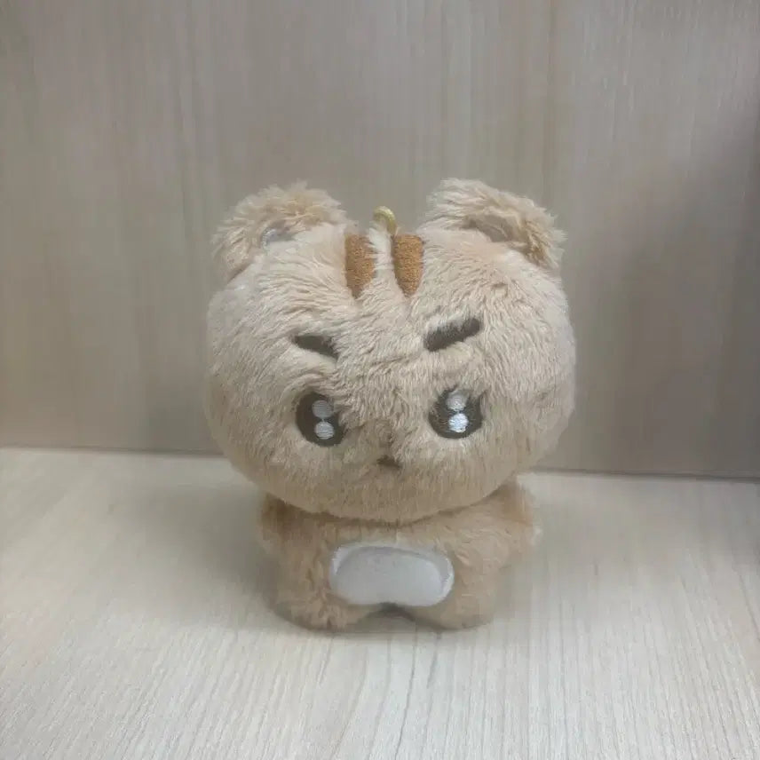 투모로우바이투게더 뽀바투 뽀송텬