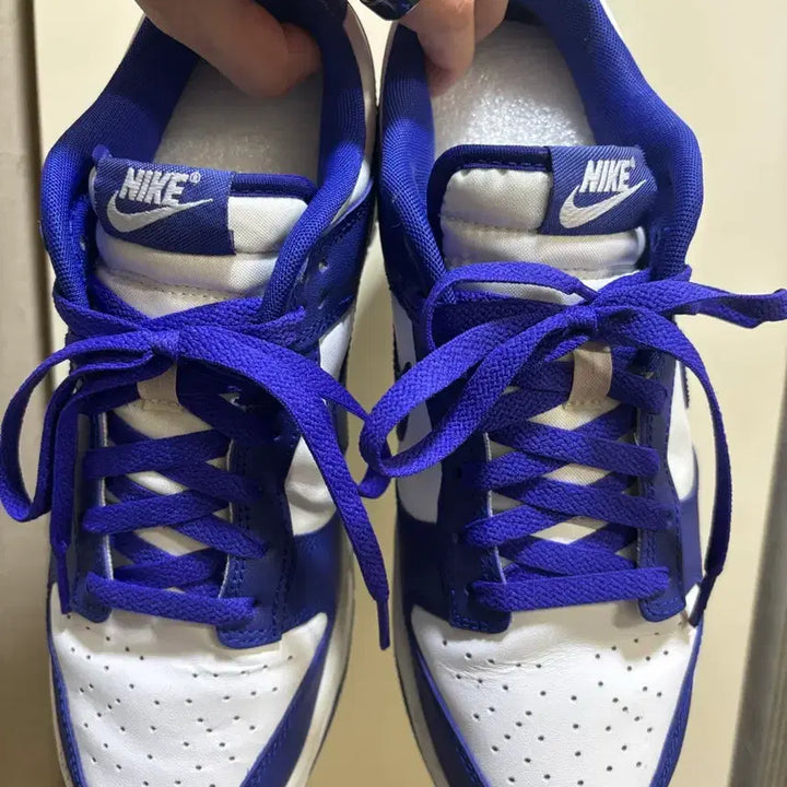 [BUNJANG] Nike Dunk Low / 265) 나이키 덩크 로우