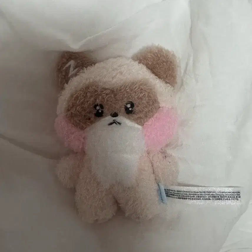 제로베이스원 제베원 제로니 하니니