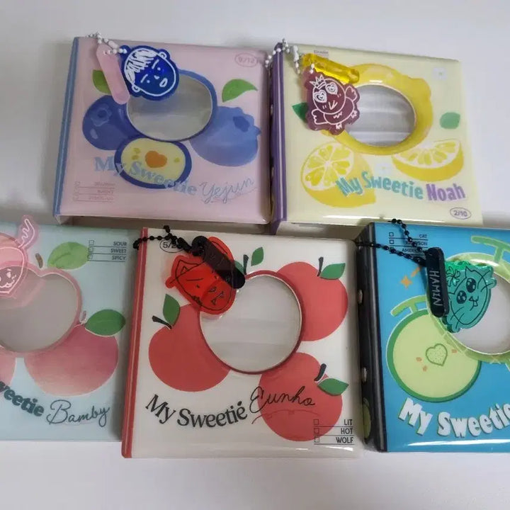 플레이브 2024 생일키트 바인더 + 키링 + 박스 5종