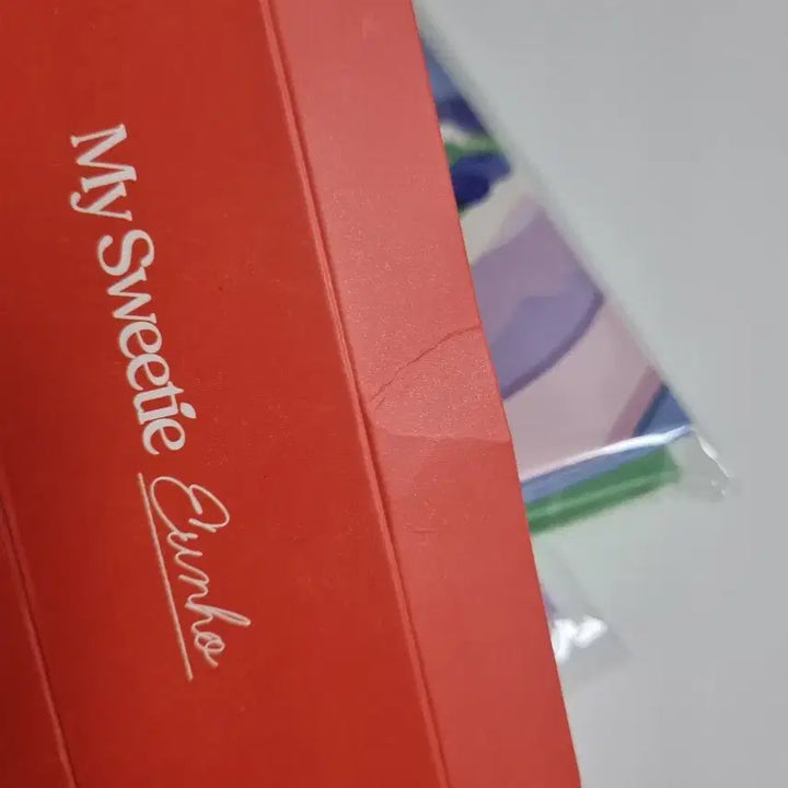 플레이브 2024 생일키트 바인더 + 키링 + 박스 5종