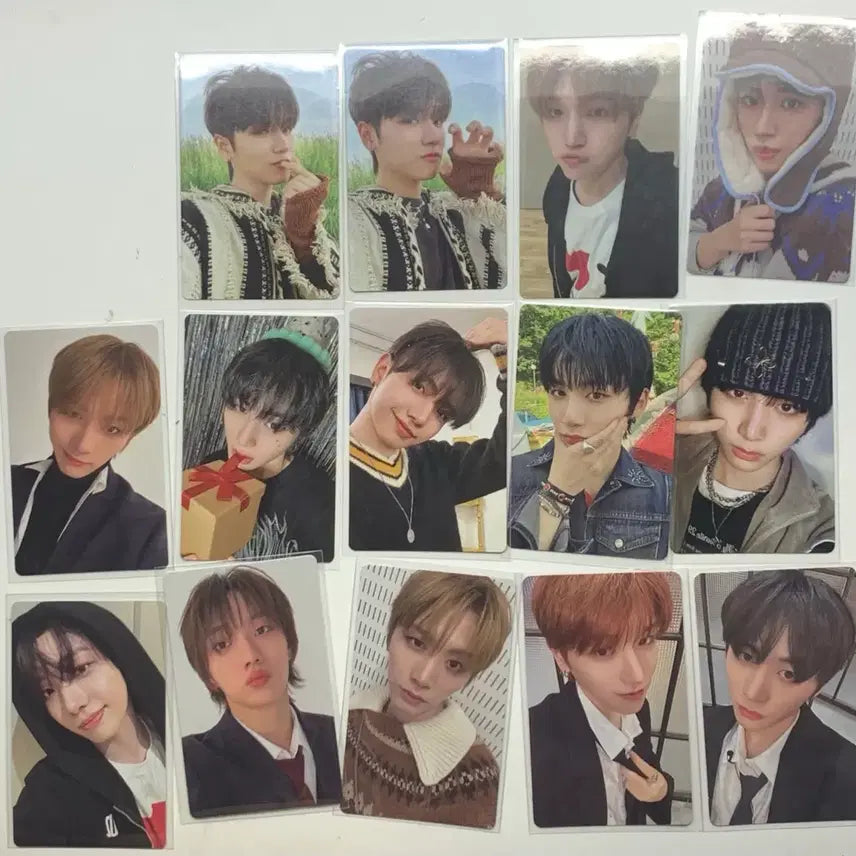 보이넥스트도어 포카 일괄 판매