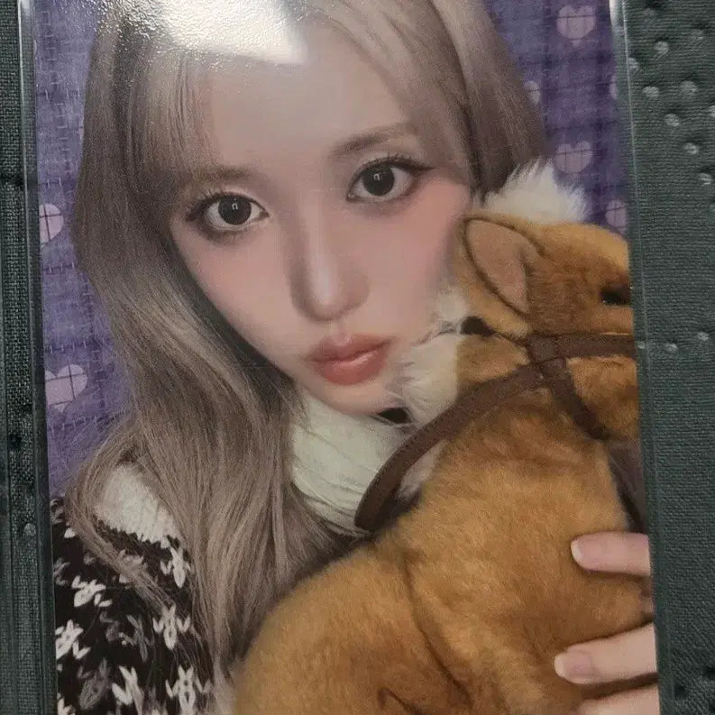 2026 아이브 시즌그리팅 시그 스스퀘 특전 가을 양도