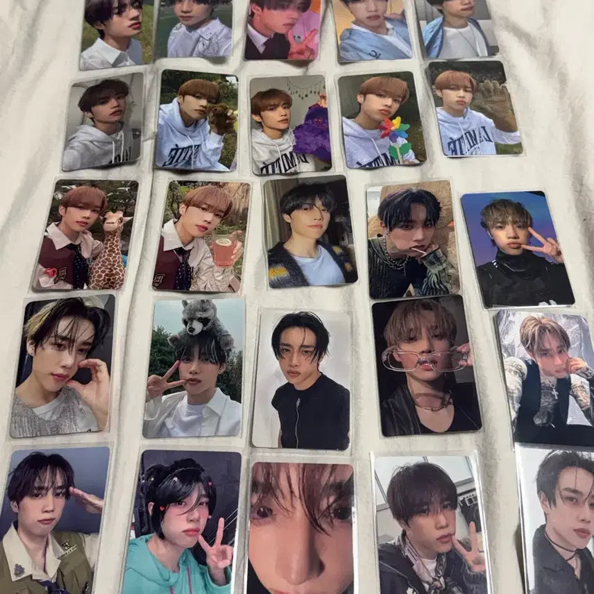 더보이즈 선우 포카 포토카드 25장 일괄