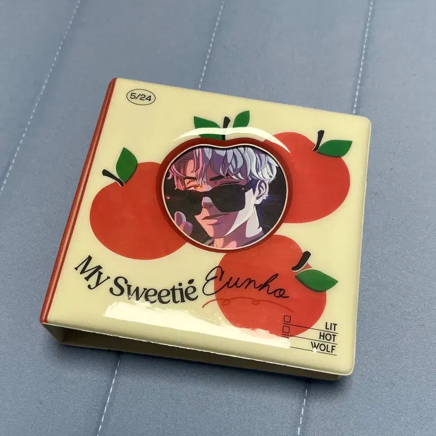 플레이브 은호 생일키트 바인더/포카