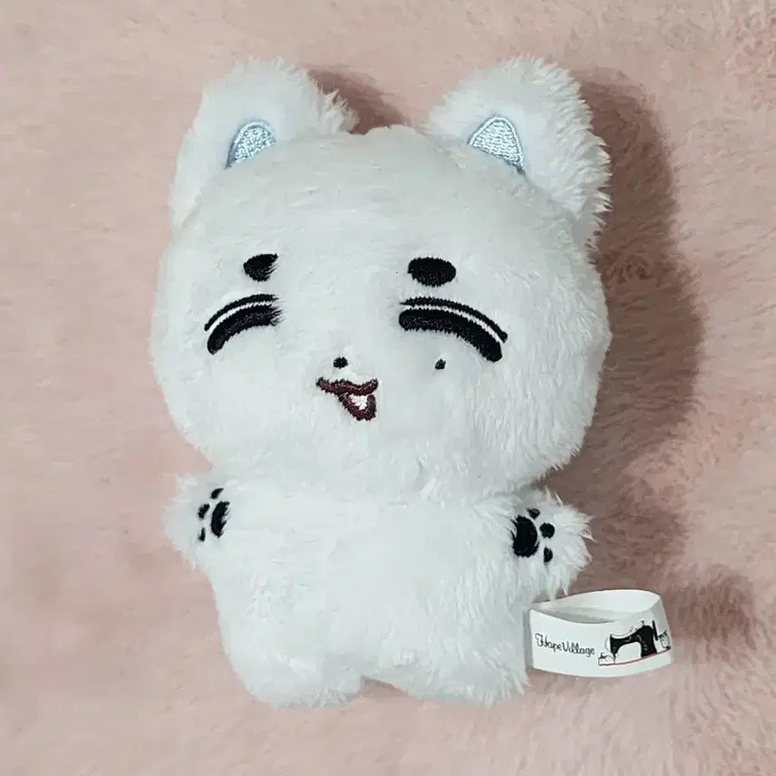 보넥도 보이넥스트도어 이한 김한댕 양도