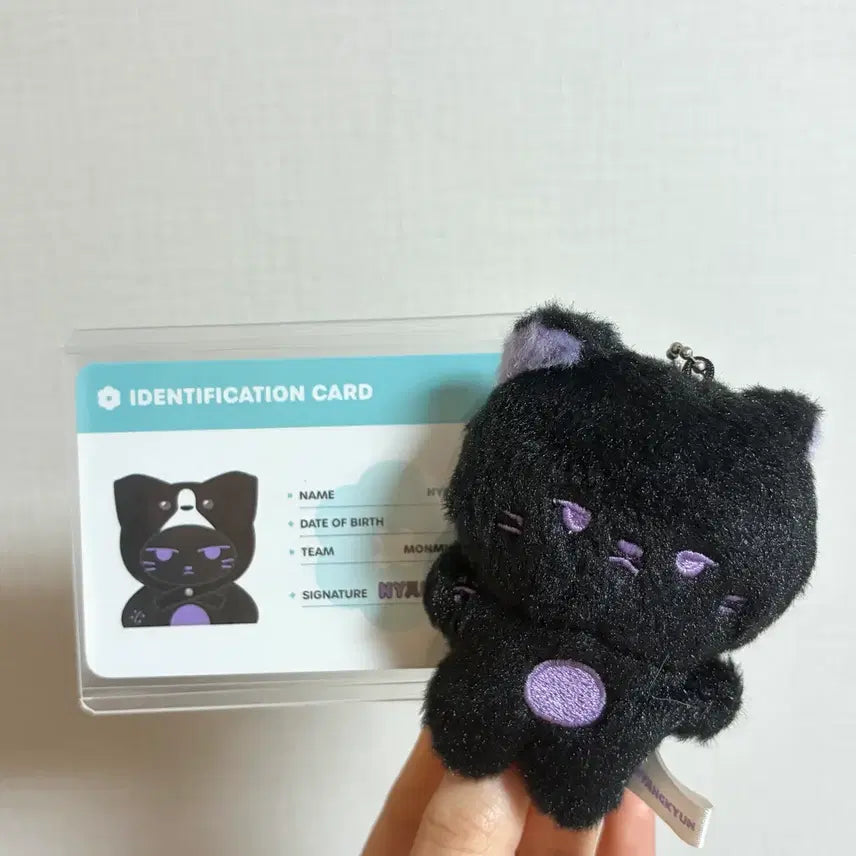 몬스타엑스 몬뭉치엑스 미니미니 냥균이