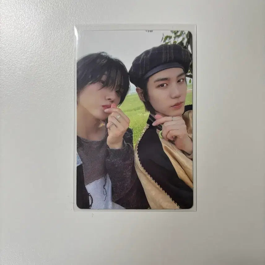 보이넥스트도어 와이 유닛 이한 성호 포카