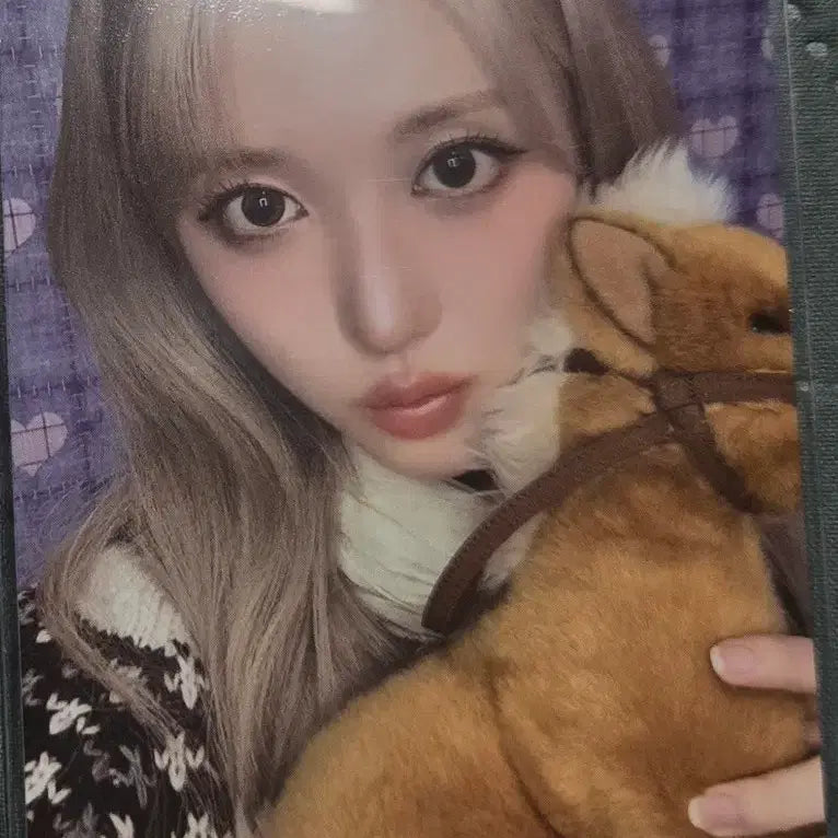 아이브 2026 시즌그리팅 시그 스스퀘 특전 양도