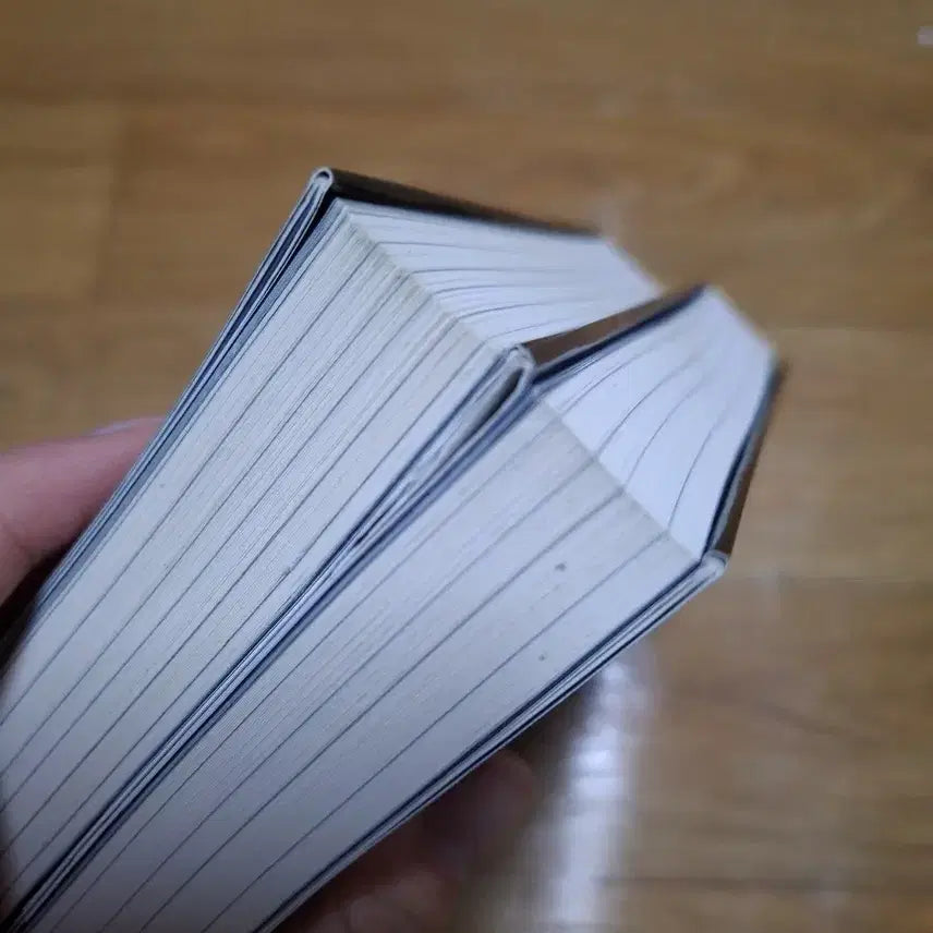 [BUNJANG] Omniscient Reader's Viewpoint Novel / 급처) 전지적 독자 시점 전독시 소설책 팝니다