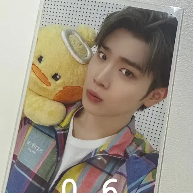 제로베이스원 태래 제로니 포카