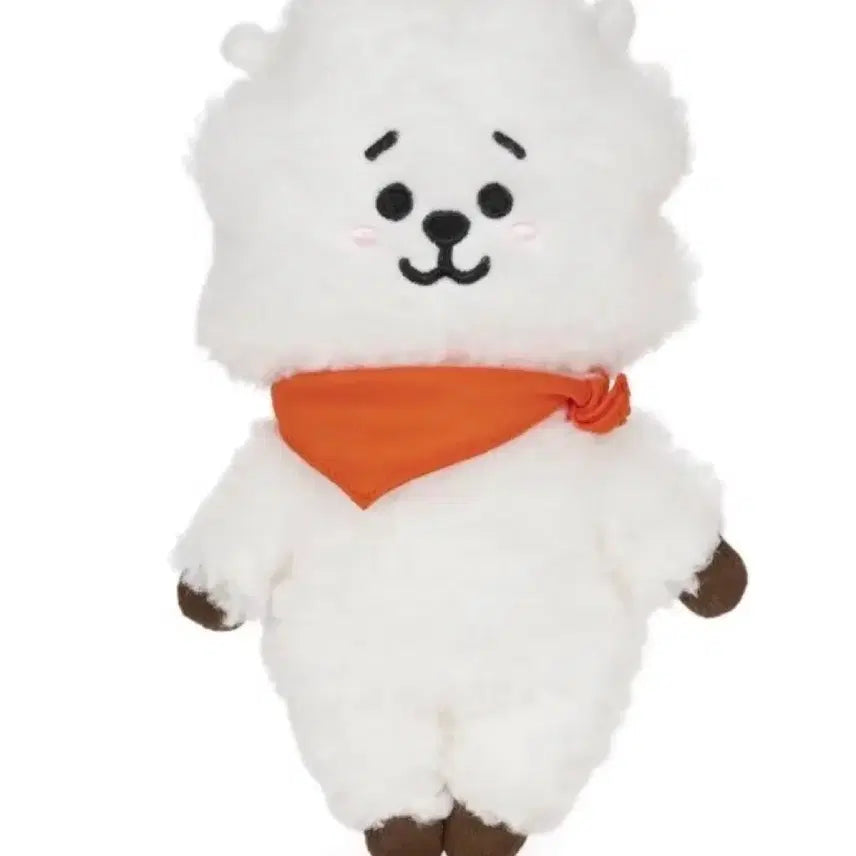 BT21 RJ RK 알제이 알케이 타이니탄 일괄