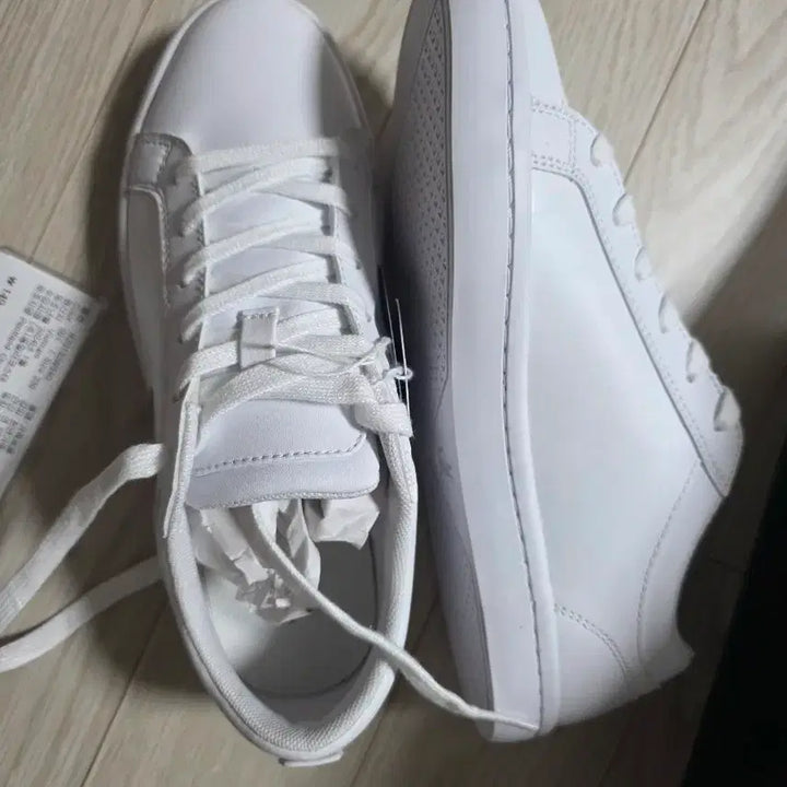 [BUNJANG] Lacoste Sport Sneakers (230mm) / (새상품) 라코스테 스포츠 운동화 230mm