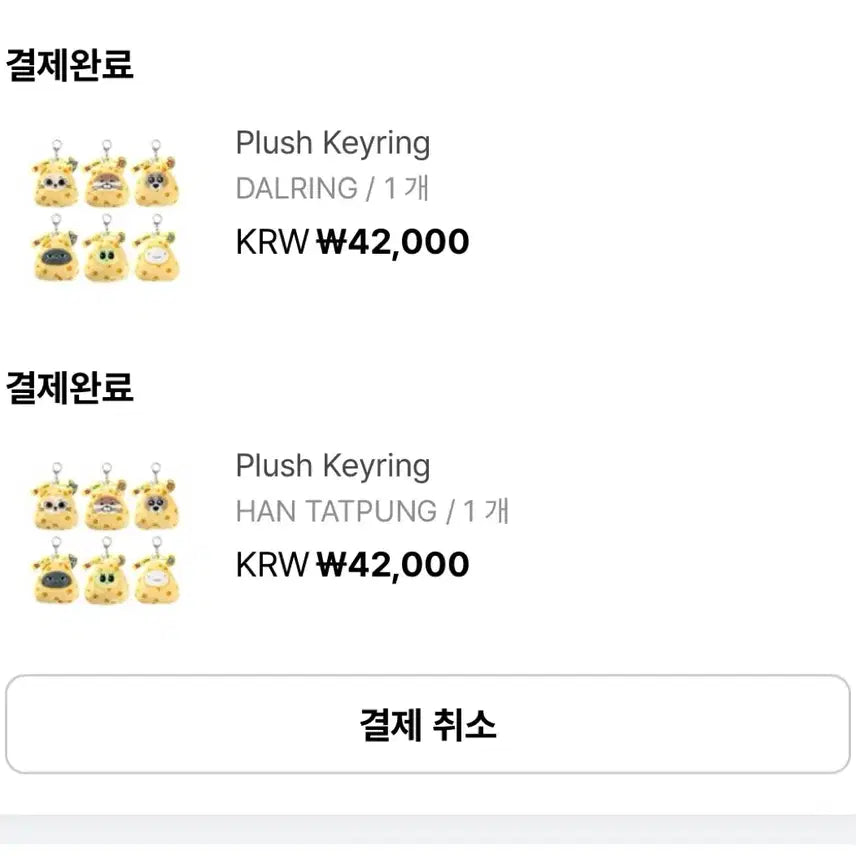 보넥도 톰과베리 치넥도