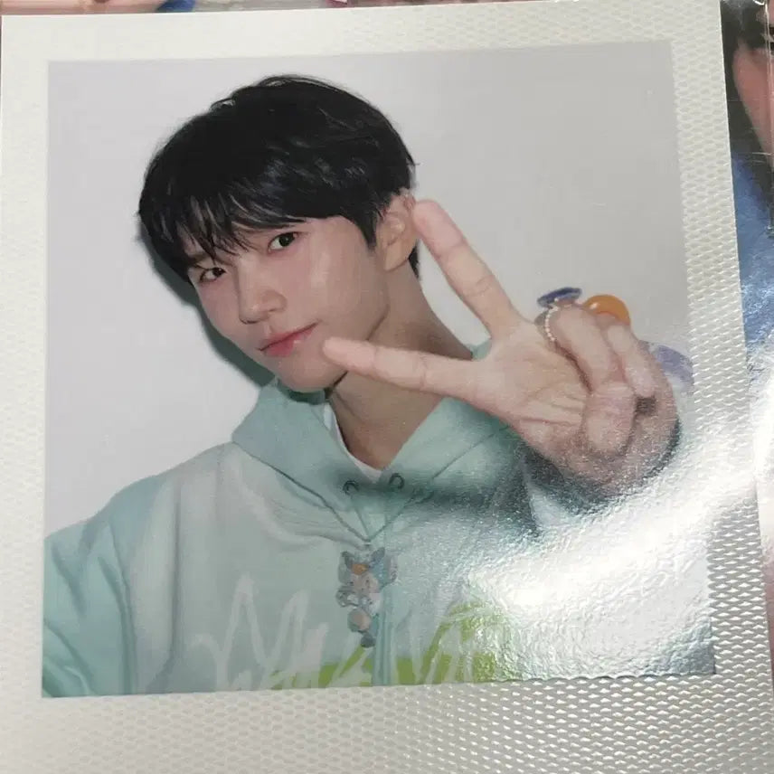 위시 시그 대영(재희)님 폴라 양도합니다!