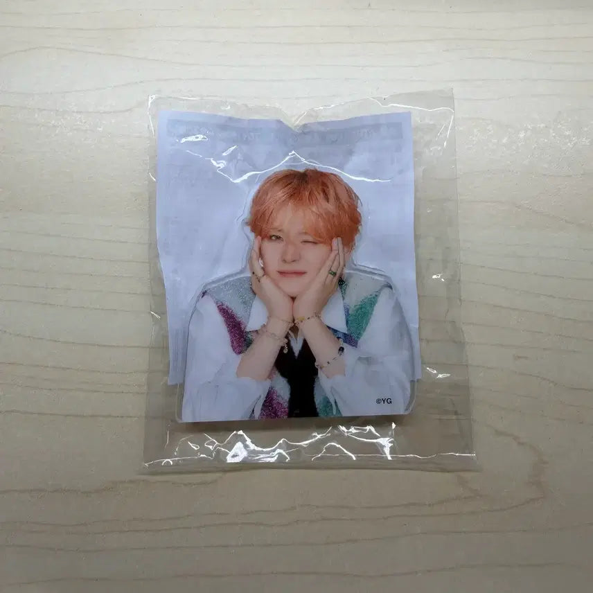 트레저 요시 포토클립 토이캡슐