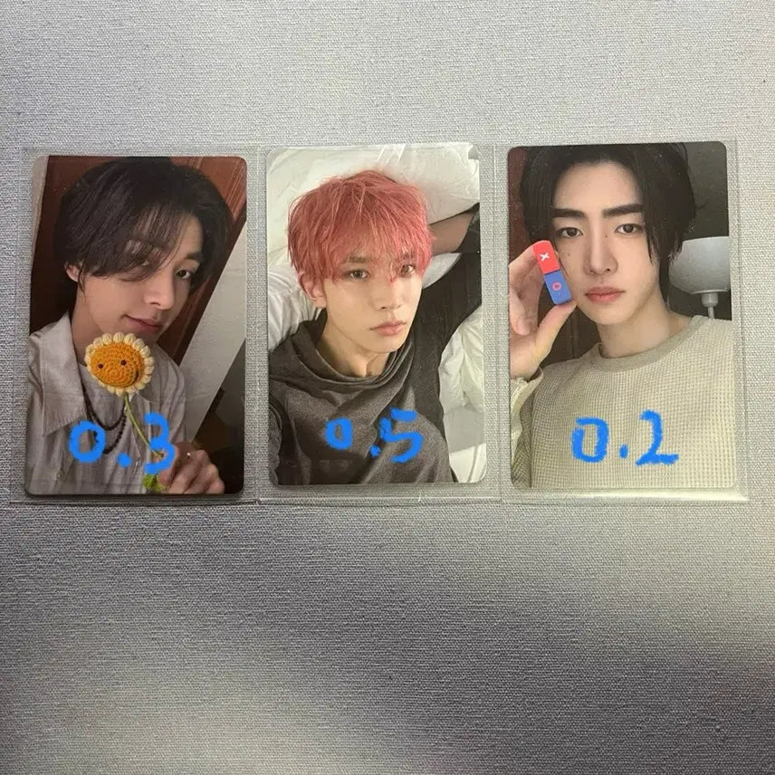 엔하이픈 데이드림 언톨드 포카 양도