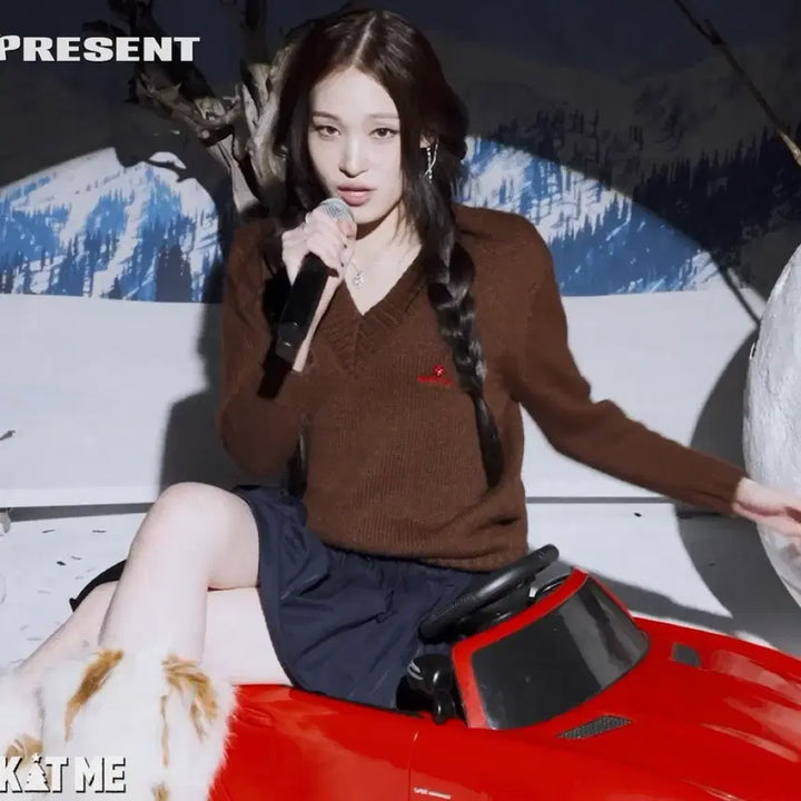 [BUNJANG] Wool V-Neck Knit (Brown) / (새상품)[6,8,10] 슈슈통 25fw 울 브이넥 니트/브라운