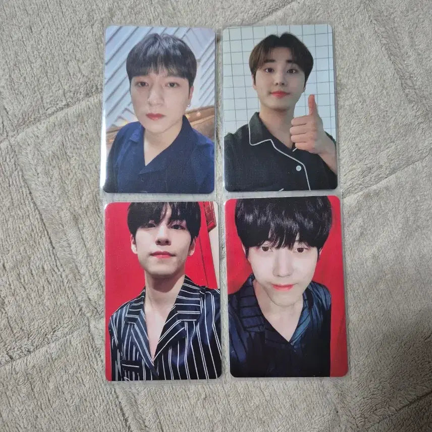 데이식스 메모리북 포카 일괄