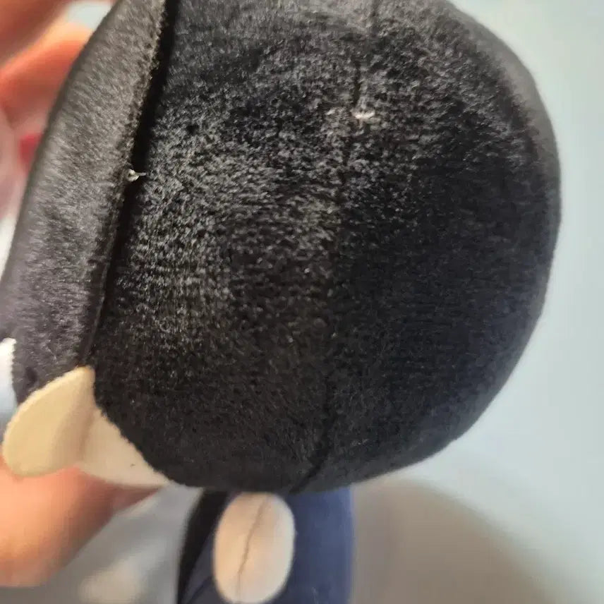 [BUNJANG] Attack on Titan Levi Doll / 진격거 리바이 누이 인형 판매