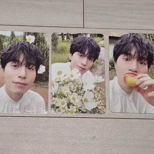 [BUNJANG] Lee Dong Wook Photocard Bundle Set / 이동욱포카 (일괄양도)
