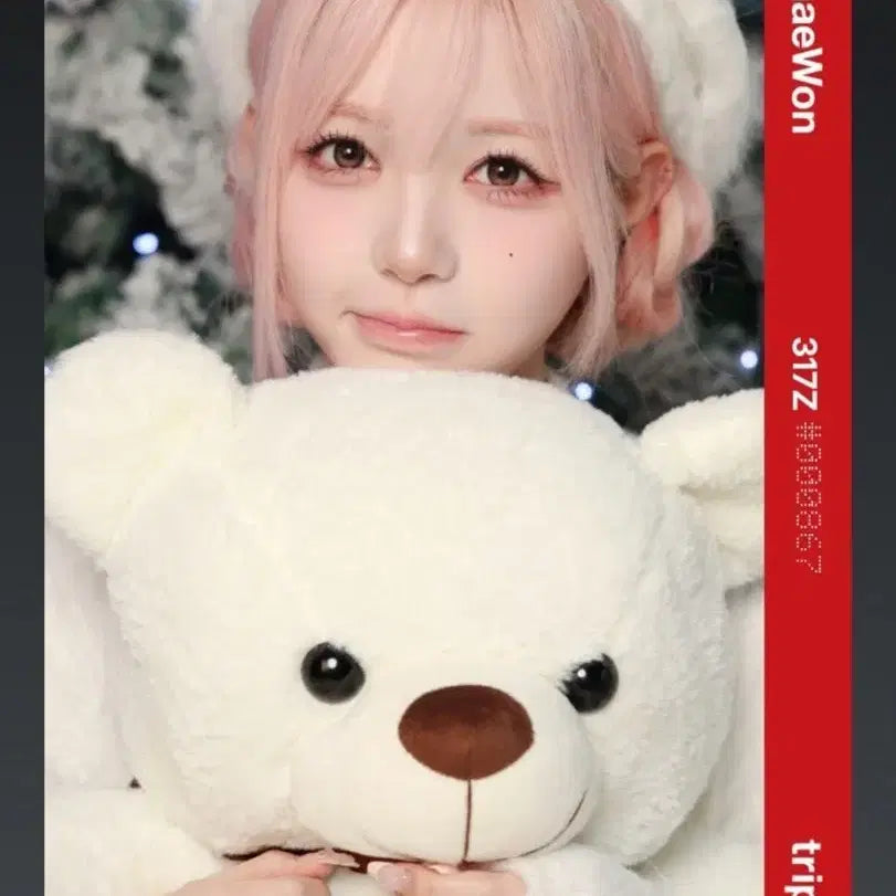 트리플에스 2025 크리스마스 김채원 오브젝트 양도 판매 317Z