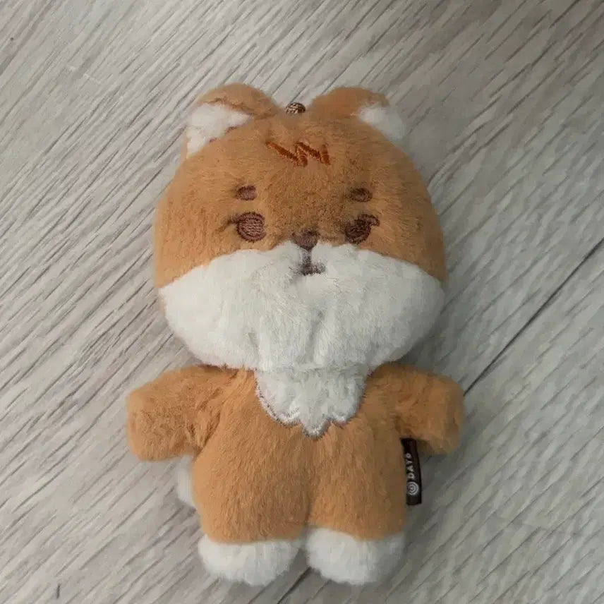 [BUNJANG] Day6 Ke Animal Photocard / 데이식스 데니멀즈 케 양도