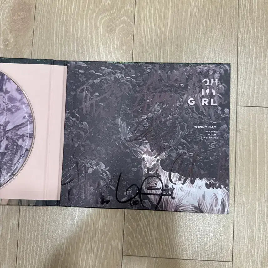 (급처) 오마이걸 윈디데이 싸인앨범