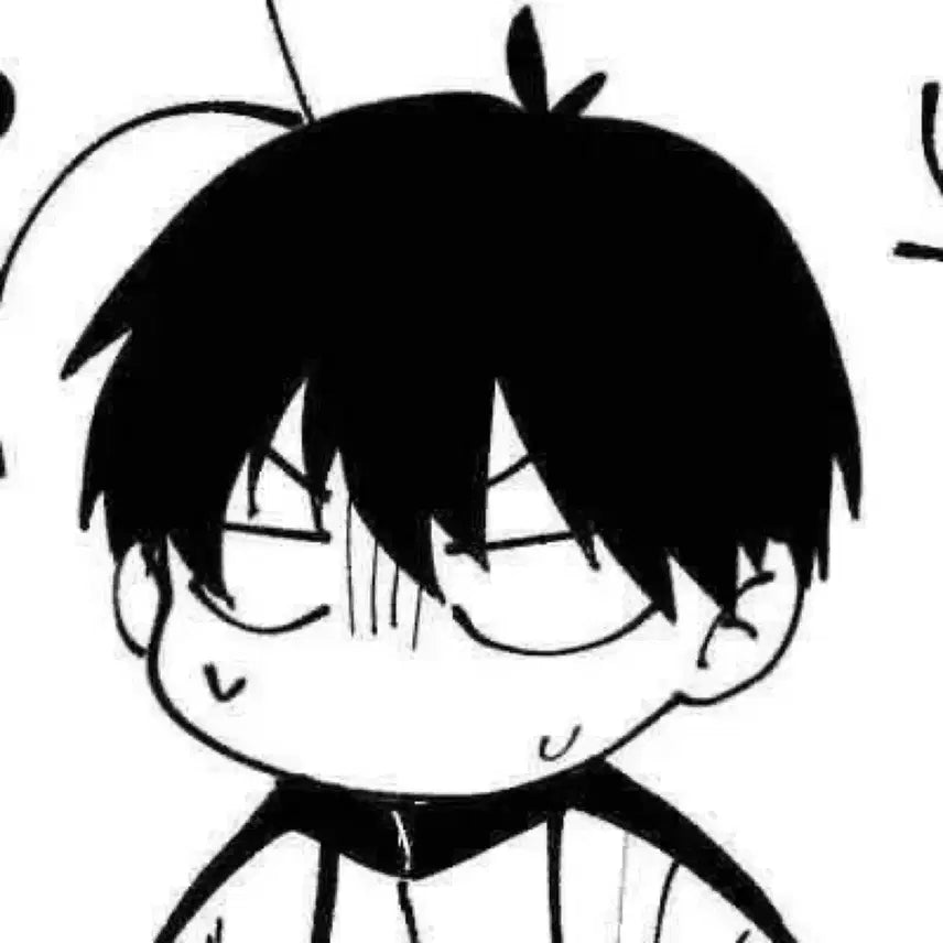 아이엔 포카 17장 일괄 양정인 스트레이키즈