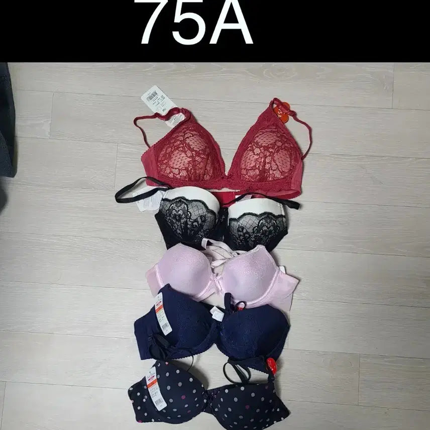 [BUNJANG] Vinos Underwear / 비노스 속옷