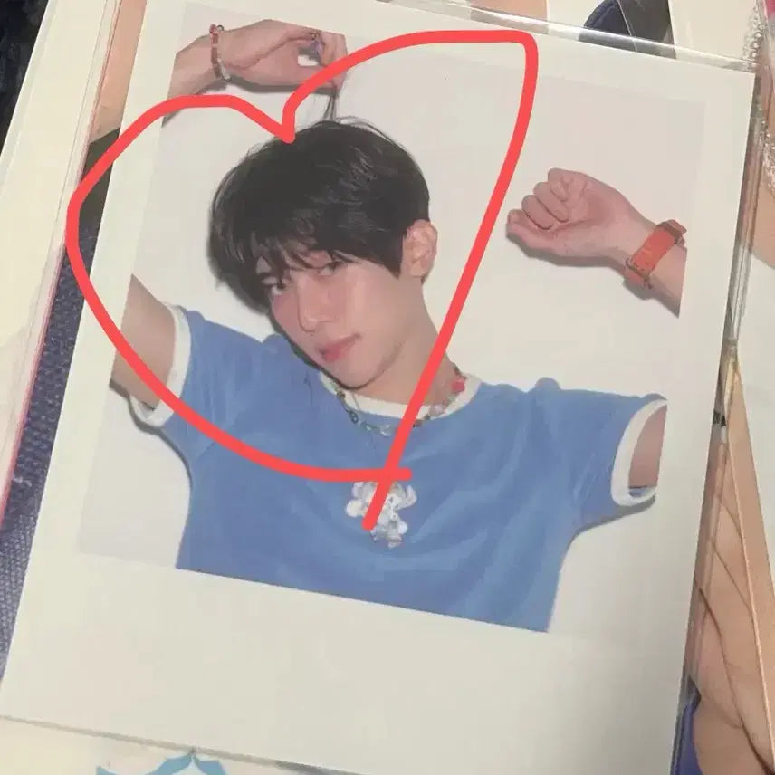 미개봉 엔위시 시그 폴라 시온 양도