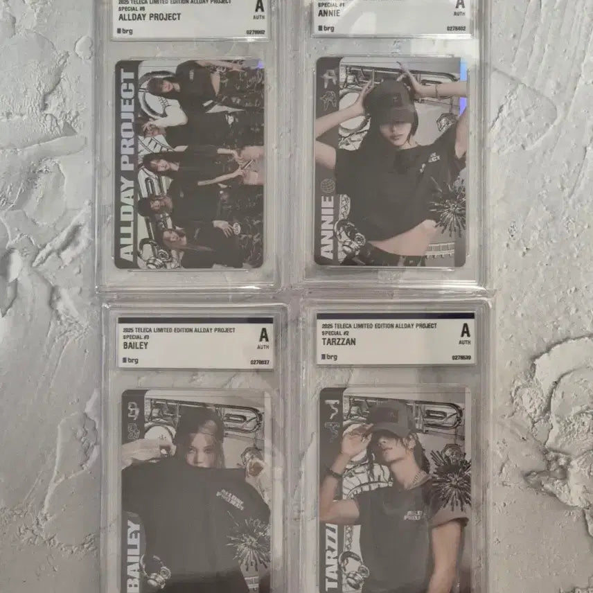 테레카 올데이프로젝트 스페셜 200장 한정 - 4장 세트 (배송비 포함)