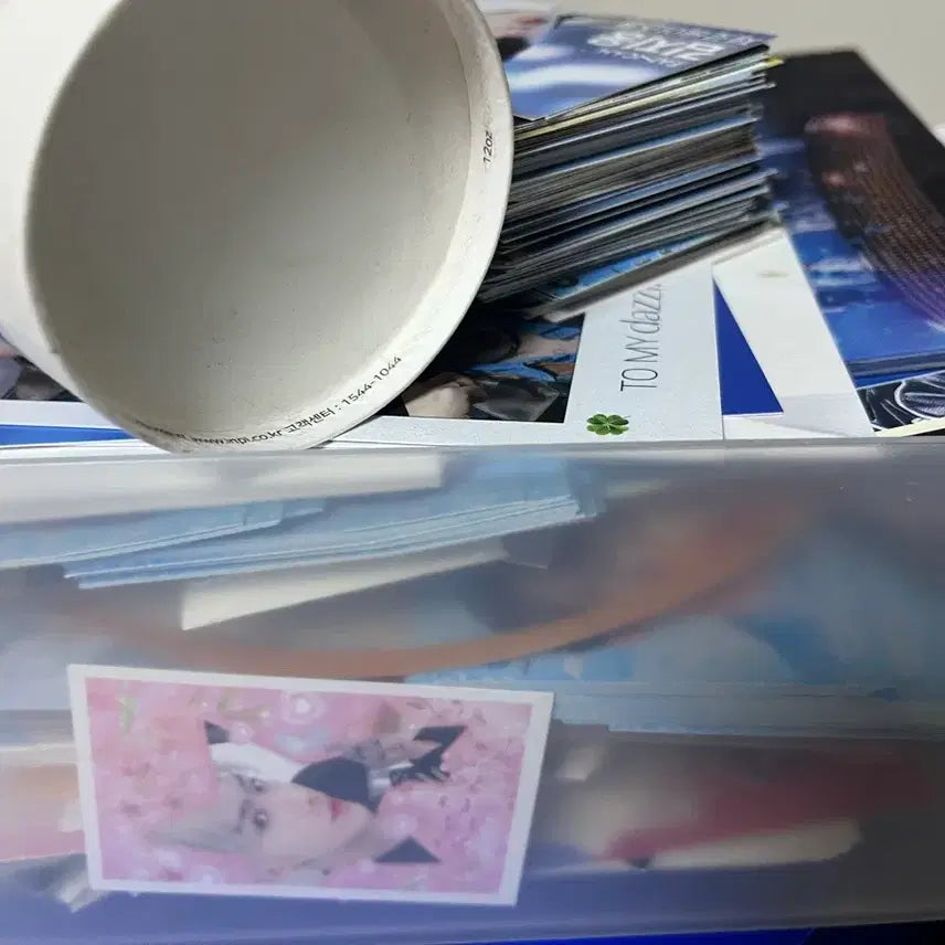 제베원 제로베이스원 피규어 성한빈 비니니 제로니 피규어 양도