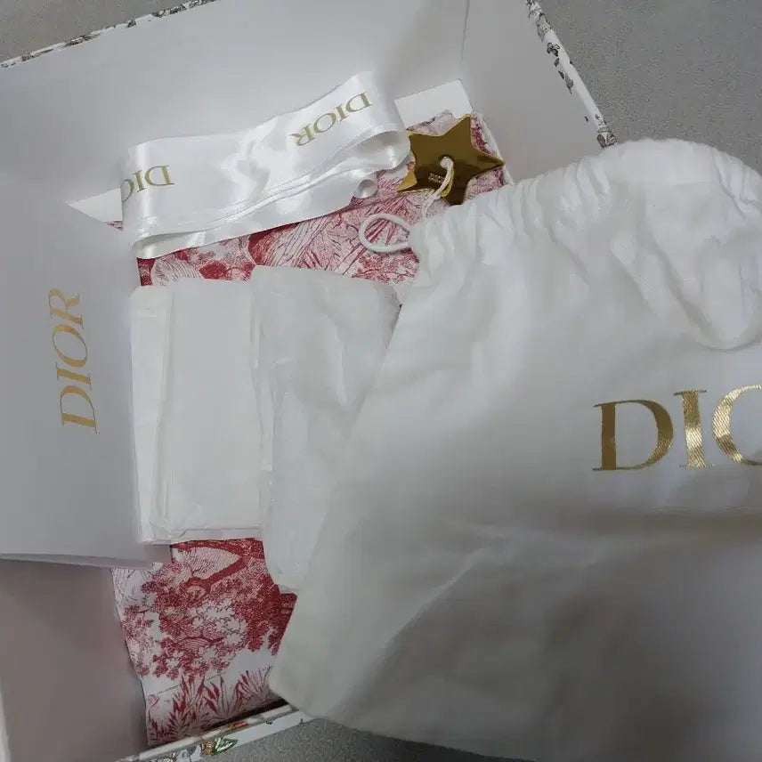 [BUNJANG] Dior Saddle Mini Bag / 디올 새들 숄더 미니백